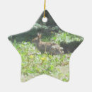 Search for wild christmas tree decorations Landscape