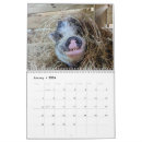 Search for farm calendars Animal