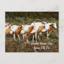 Search for african animal postcards Savanna