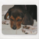 Search for beagle mousepads Cute
