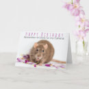 Search for funny rat birthday cards Pet