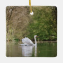 Search for swan christmas tree decorations Bird
