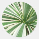 Search for green and white stripes stickers Abstract