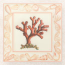 Search for sea shell coasters Coral