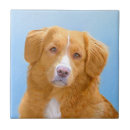 Search for nova tiles Toller