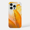 Search for holographic cases Elegant