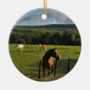 Search for fencing christmas tree decorations Horse