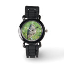 Search for spotted watches Bird
