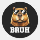 Search for copyright stickers No copyright meme