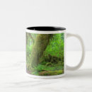 Search for rain forest mugs Landscape