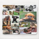 Search for monkey mousepads Computer