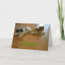 Search for backed cards Animal