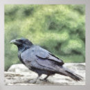 Search for black crow art Bird