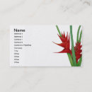 Search for heliconia Red