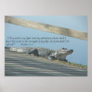 Search for alligator posters Animals