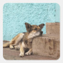 Search for sidewalk stickers Dog