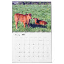 Search for cow office supplies Calf