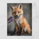 Search for flower fox postcards Cute