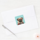 Search for hipster dog stickers Cute