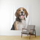 Search for fur photography Dog