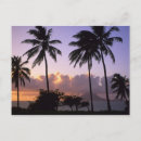 Search for st kitts postcards Beach