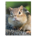 Search for conservation notebooks Cute