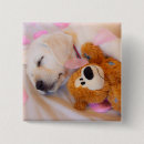 Search for cuddle badges Baby