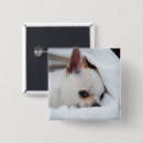 Search for puppy badges Create your own