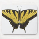 Search for swallowtail butterfly mousepads Animal