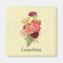 Search for carnations magnets Botanical