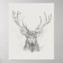 Search for sketching posters Drawing