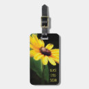 Search for black eyed susan Floral