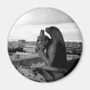 Search for gargoyle magnets Notre dame