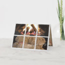 Search for fireplace cards Snow