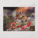 Search for cheeks postcards Animal