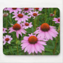 Search for coneflower mousepads Echinacea