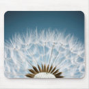 Search for dandelions mousepads Wildflower