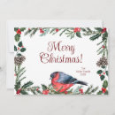 Search for red cardinal bird cards Pine cone