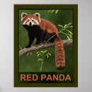 Search for panda print posters China