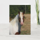 Search for haflinger horse cards Animal