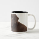 Search for chocolate labrador retrievers mugs Animals