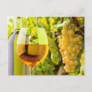 Search for grape postcards Beautiful