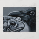 Search for crows postcards Ravens