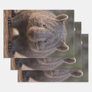 Search for australian wrapping paper Wombat