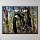 Search for canadian art Geese