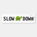 Search for funny turtle bumper stickers Cute