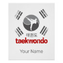 Search for taekwondo posters Tkd