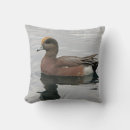 Search for wild duck Bird