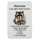 Search for racoon magnets Humour