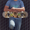 Search for cat skateboards Kitty
